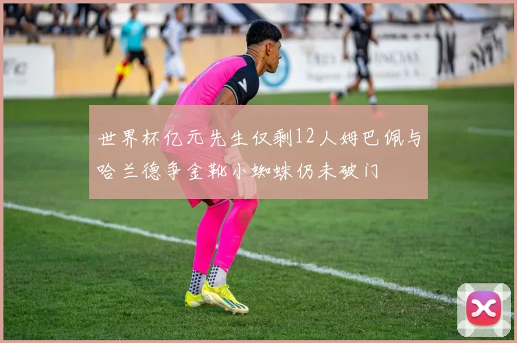 世界杯亿元先生仅剩12人姆巴佩与哈兰德争金靴小蜘蛛仍未破门