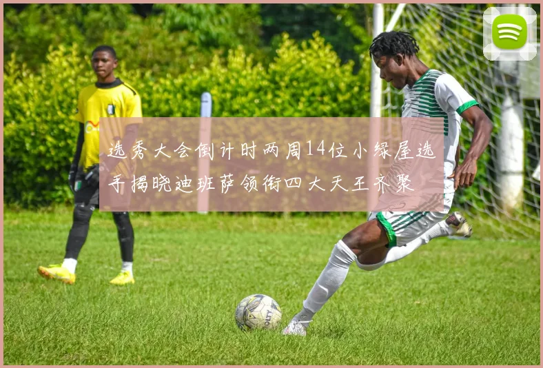 选秀大会倒计时两周14位小绿屋选手揭晓迪班萨领衔四大天王齐聚