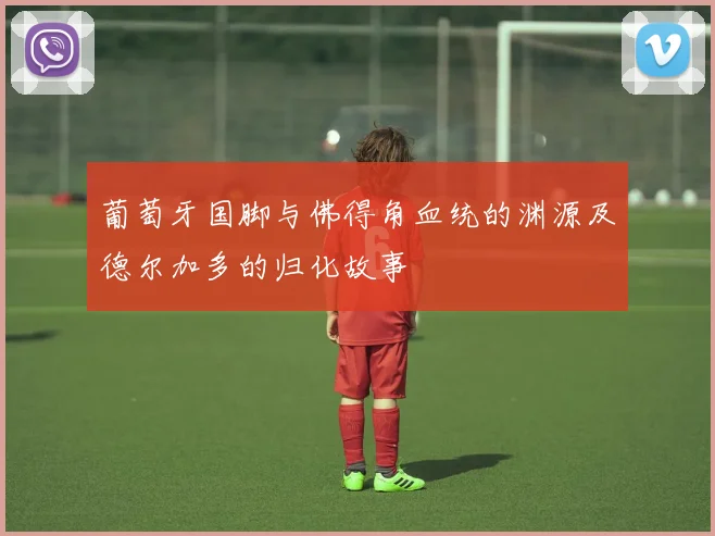 葡萄牙国脚与佛得角血统的渊源及德尔加多的归化故事