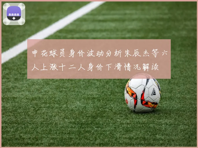 申花球员身价波动分析朱辰杰等六人上涨十二人身价下滑情况解读