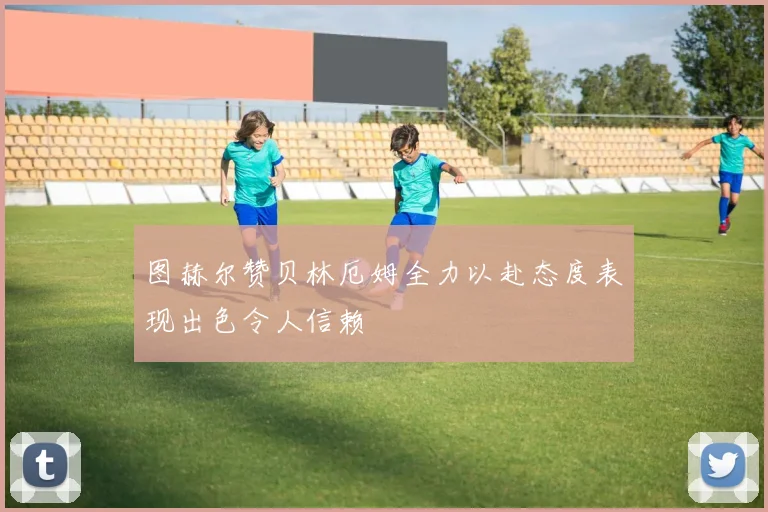 图赫尔赞贝林厄姆全力以赴态度表现出色令人信赖
