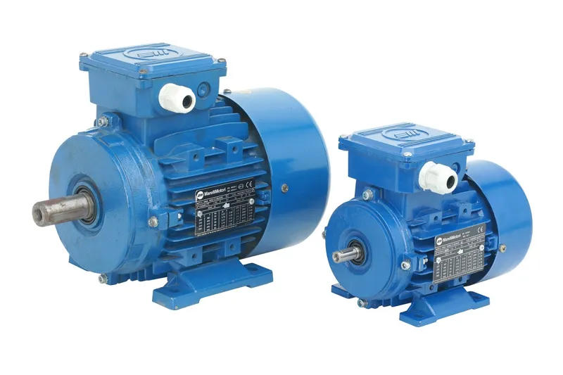 marelli-motori-electric-motor-2_11zon